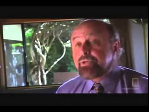 Inside Lsd Full Length Documentary