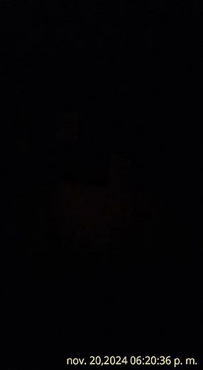 El pollito pio cha cha cha oficial de karaoke Pulcino pio