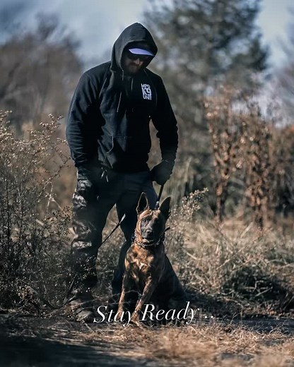 Locked in ready to work!! 🐕Integrity Canine 423-312-9425 #dog #doglover #police #k9 | Integrity Canine llc