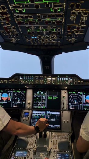 Pilot’s View: Perfect Landing From The Cockpit✈️ #aviation#airtravel#CockpitView#PilotView#hopetales