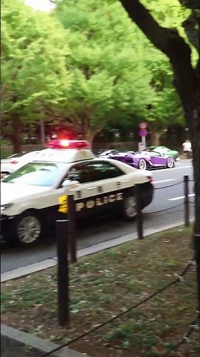 [Lambo vs. Police Car] The sound of a Lamborghini accelerating along the ginkgo tree-lined street...