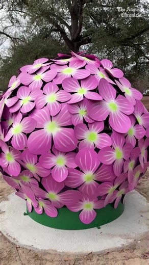 Check out the new art installations at Phinizy Swamp Nature Park and Pendleton King Park. | The Augusta Chronicle