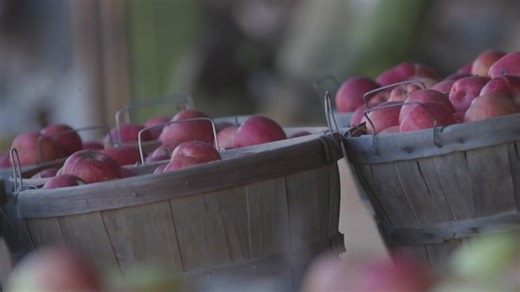 Orchard Country in Cana, Virginia, keeps visitors coming back year after year