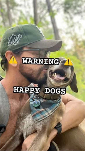 My job is to make them happy #dogtraining #dogtv #dogs #losangeles