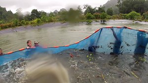 23K views · 349 reactions | Here’s part 1 of our arapaima netting...