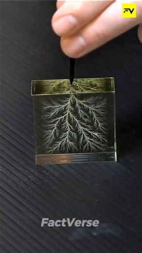 Electricity Trapped Inside Glass? 😱⚡ #shorts #facts #lichtenberg