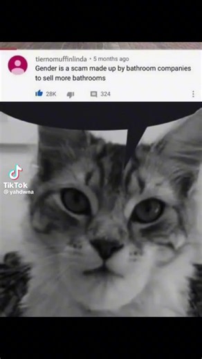 Tik Toker op TikTok