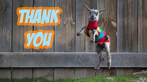 129K views · 2.9K shares | Over these last couple of weeks, we’ve...