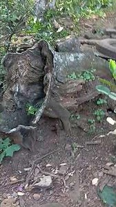 camping with my litle family