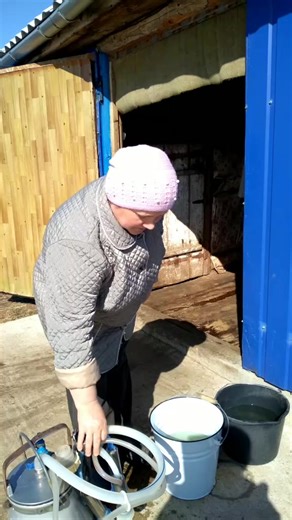 How to Properly Milk a Goat: Step-by-Step Guide