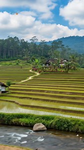 Pesawahan yang subur, dan suasana sejuk #alam #exploremore #naturelovers #NaturalBeauty #heavenonearth | Gepra Penerang Hati
