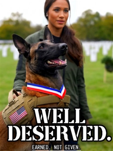 K9 Operational Readiness: Alpha K9 Division Elite Military Dog Training