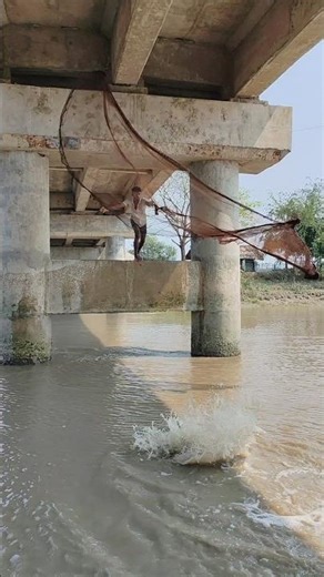 ​Casting the net under the bridge. 🕸️(The thrill of casting the net under the bridge!) 🌊🐟 #shorts