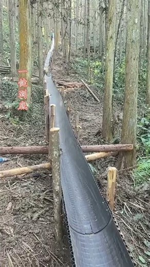 Next-Level Timber Transport: Building The Ultimate Logging Highway#Logging #TimberTransport#Forestry