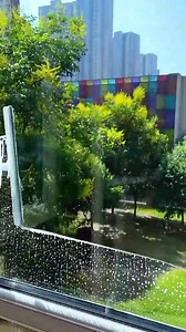 1.2K views · 545 reactions | Изпитайте радостта от кристално чистите прозорци犯  Качествена гумена четка  Вграден диспенсър за вода 識 Може да се пере в пералня Направете почистването на прозорците си по-лесно https://vigoexpress.bg/продукт/window-cleaner-spray-windclean?psh=9i00&pco=1i99&sp=7733i007 | Vigoexpress | Facebook