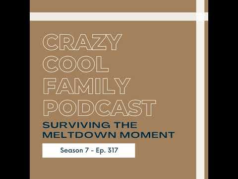 #317: Surviving the Meltdown Moment
