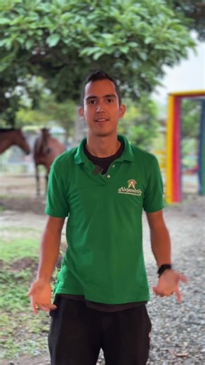 ¿Que en Popayán no hay nada que hacer? ¡En Alejandría hay de todo! 🍳 Comienza tu día con un desayuno delicioso para llenarte de energía. 🐴 Conecta con la naturaleza en una cabalgata inolvidable. 🎉 ¿Diversión? Nuestras boliranas y burbujas choconas te sacarán muchas risas. 🍲 La estrella del almuerzo: un sancocho de gallina lleno de sabor y tradición. 🍰 Y para cerrar el día, nada como un capuchino con torta casera o postres deliciosos. 📅 Sábados y domingos son para disfrutar en Alejandría, p