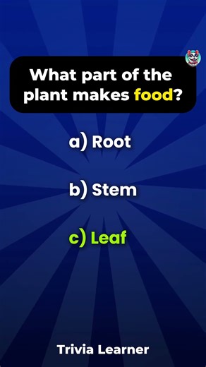 6 Questions. 60 Seconds. Can You Go 6/6?