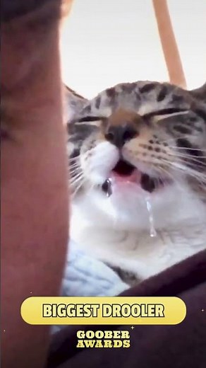 Is your pet a drool machine? 💦 Show us their drool-worthy moments for a chance to win $500! 💰