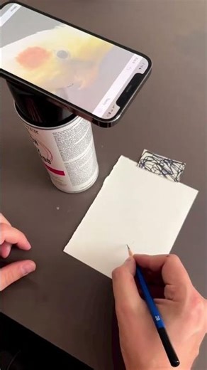 draw reflection of picture 🖼️