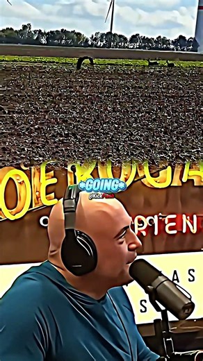 Joe Rogan Reacts To Golden Eagle HUNTING A Deer! 🦅🦌 #shorts