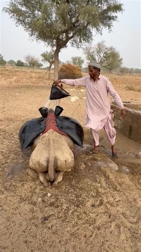 The Ancient Tradition of Farmers Storing Water in the Desert | Desert Tales Studio
