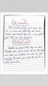 9.5K views · 70 reactions | Connect 4 Writing paragraphs Unit 1,2,3  | Miss Lamiss Tarek Eldeep "English Teacher" | Facebook