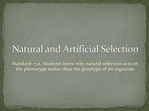 Natural and Artificial Selection - SlideServe