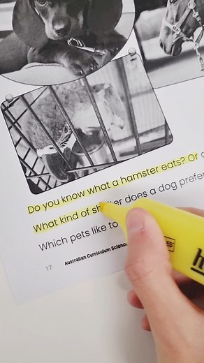 🧪 Let's plan a science lesson! 🔬 Share your lesson planning tips and ideas in the comments below! 💡📚 #sciencelesson #lessonplan #scienceteacher #autraliancurriculumscience #AussieTeachers #scienceresource #teachernotes #engagestudents #worksheet #groupwork #australianteachers #teacherlife #teachertip #teachingresources #scienceteacherresources #science | R.I.C Publications