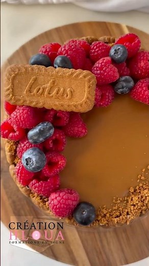 CHEESECAKE SANS CUISSON AU SPÉCULOOS 😍✨