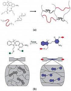 ‘Seeing’ Strain in Soft Materials