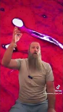 Compact bone under a microscope! #anatomy #science #stem #biology