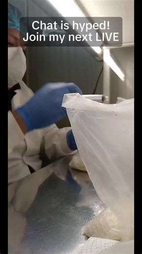 🌱 Hace dos horas estuvimos en vivo mostrando el proceso de producción de Trichoderma, un hongo benéfico que transforma la agricultura. 🚜 Desde el laboratorio hasta el producto final, en PRODUSAI trabajamos con tecnología y pasión para ofrecer bioinsumos de calidad que cuidan tus cultivos #Trichoderma #Produsaiec #TiktokAgro Chat is hyped! Join my next LIVE #tiktoklive #livehighlights