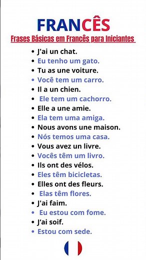 Frases Básicas em Francês para Iniciantes #auladefrancês #aprendafrances #como #frances