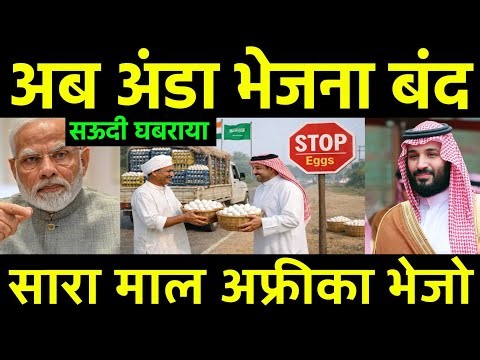खाड़ी देशों में अण्डा भेजना बंद? India Eggs Export to Saudi will divert Africa | Ankit Awasthi Sir