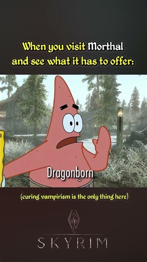 Skyrim - Relatable and Funny pt376