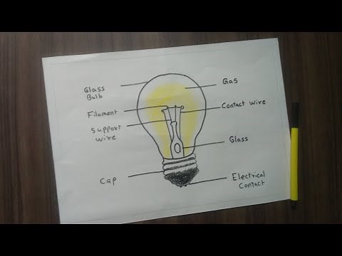 Bulb Diagram | Label Diagram Of Bulb | Science Drawing