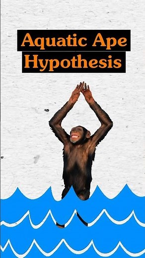 Debunking the Aquatic Ape Hypothesis