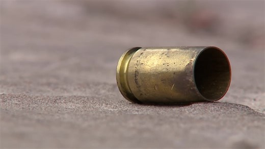 Milwaukee County new gun violence prevention program; evidence-based