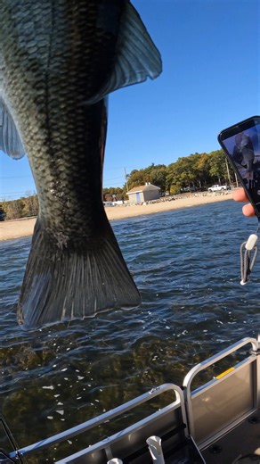 ANOTHER ONE!!! #bassfishing #fishing | Fishing with Forrest