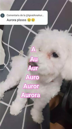 #paskalevents #manele #music #roblox 💗💗💗💗💗💗