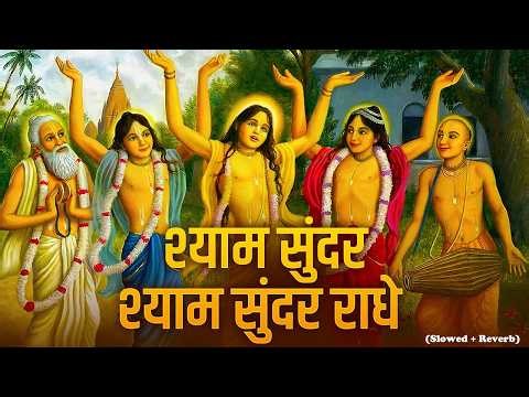 Shyam Sunder Shyam Sunder Radhe | वृंदावन रसामृत | Krishna Bhajan श्याम सुंदर श्याम | Bhajan 2026