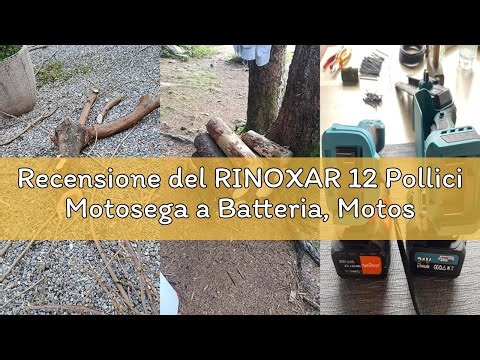 Recensione del RINOXAR 12 Pollici Motosega a Batteria, Motosega Elettrica Senza Fili 2x4000mAh, Pota