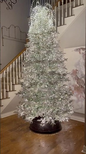 9,800 Amazing Christmas Light Combination: Cluster Lights, Snake Lights, and Cascading Lights