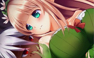 【ロリコン/绅士act】《プリンセスディフェンダー》精灵公主和兽人魔物的故事（重制版）