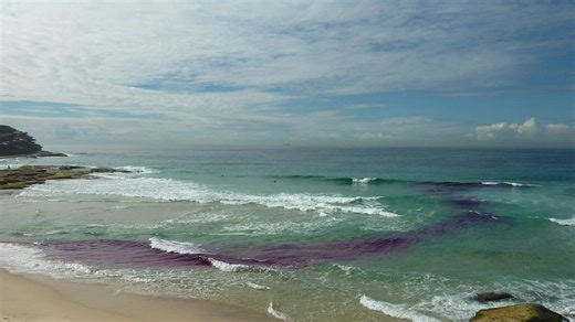 Rips can be easy to spot if you know how. Here's how to stay safe this summer