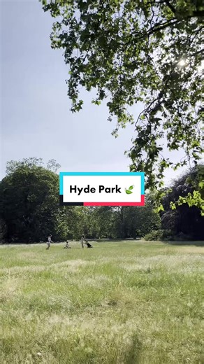 Your London Magazine on TikTok