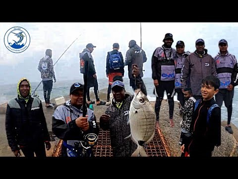 Fishing at Marina beach//Glenmore ladder rock
