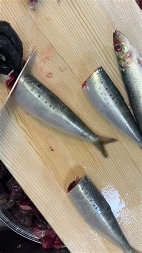 いわし　さばき方　#ねぎお寿司　#寿司屋 #さばく #fishlove #fishcutting #fishlover #fishlove #fishlovers #鰯　#sushichef #真鰯