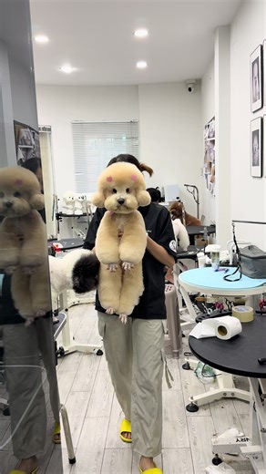 Sao mà cute quá vậy con